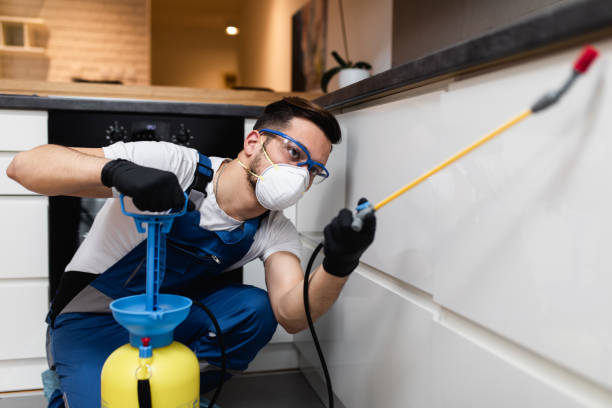 Best Termite Control Services  in Ravenna, MI