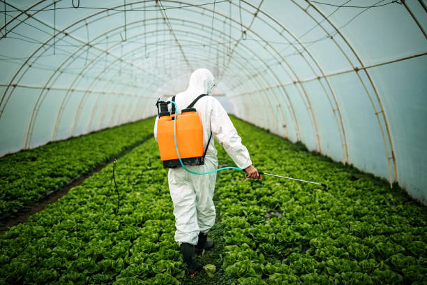 Best Residential Pest Control  in Ravenna, MI