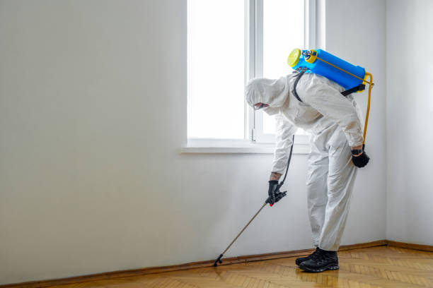 Best Best Pest Control Companies  in Ravenna, MI