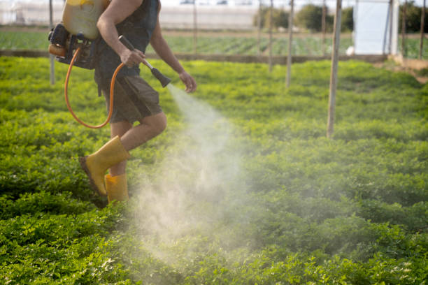 Best Residential Pest Control  in Ravenna, MI