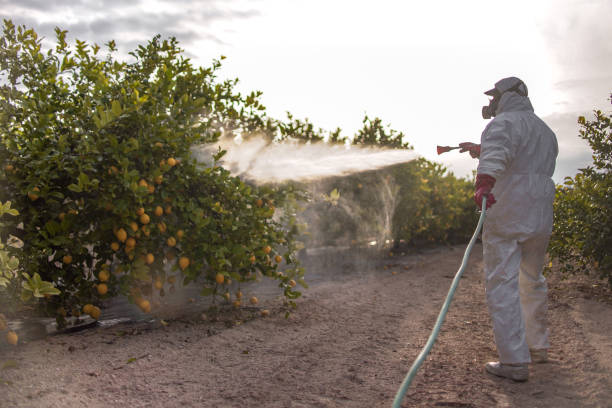 Trusted Ravenna, MI Pest Control Experts