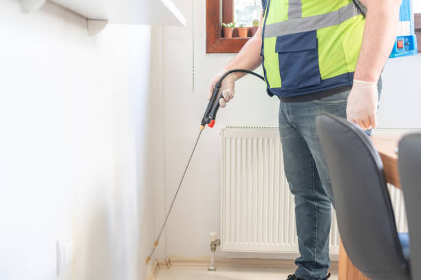 Best Affordable Pest Control Services  in Ravenna, MI