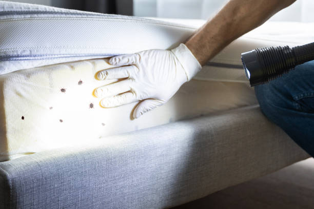 Best Bed Bug Extermination  in Ravenna, MI