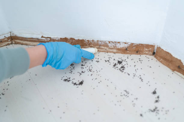 Best Bed Bug Extermination  in Ravenna, MI